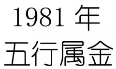 1981Ќʲô1981ʲô