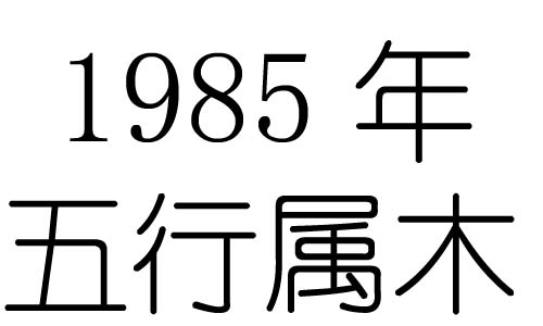 1985Ќʲô1985ʲô