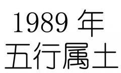 1989Ќʲô1989ʲô