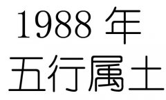 1988Ќʲô1988ʲô