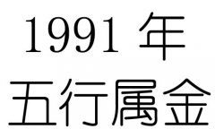 1991Ќʲô1991ʲô