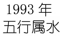 1993Ќʲô1993ʲô