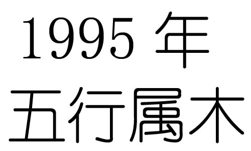 1995Ќʲô1995ʲô