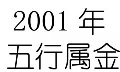 2001Ќʲô2001ʲô