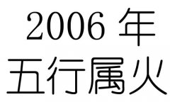 2006Ќʲô2006ʲô