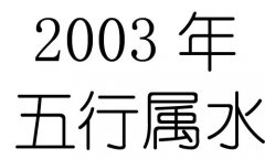 2003Ќʲô2003ʲô