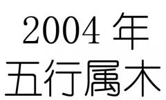 2004Ќʲô2004ʲô