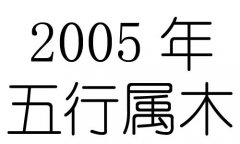 2005Ќʲô2005ʲô