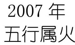 2007Ќʲô2007ʲô