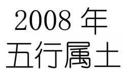 2008Ќʲô2008ʲô