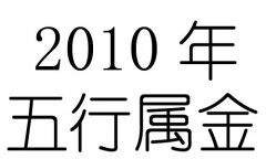 2010Ќʲô2010ʲô