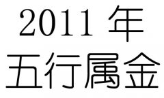 2011Ќʲô2011ʲô