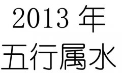 2013Ќʲô2013ʲô