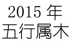 2015Ќʲô2015ʲô