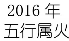 2016Ќʲô2016ʲô