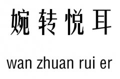 D(zhun)м_D(zhun)Z