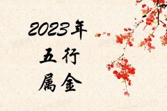 2023Ќʲô2023ʲô