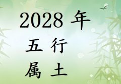 2028Ќʲô2028ʲô