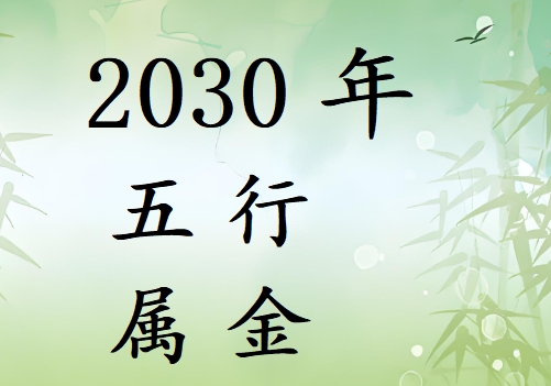 2030Ќʲô2030ʲô